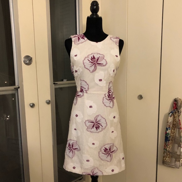 NWT Ann Taylor Floral Dress Size 8 - Picture 1 of 8